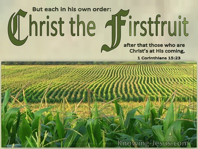 1 Corinthians 15:23 Each In Order : Christ The Firstfruit (sage)
